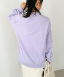 45R 25 冬季飛鳥印花衛衣