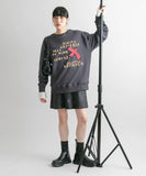 45R 25 冬季飛鳥印花衛衣