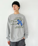 45R 25 冬季飛鳥印花衛衣