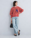 45R 25 冬季飛鳥印花衛衣